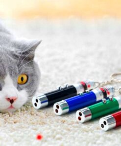 3 Fonksiyonlu Kırmızı Beyaz Işıklı Led Lazer Kedi Köpek Oyuncak Anahtarlık