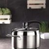 Vita Pressure Düdüklü Tencere (8 lt)