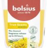Mimosa Kokulu Bardakta Mum - Vegan & Doğal & Saf Koku Özlü -Palmiye Yağı İçermez - 25 Saat Yanma Süresi - Sarı Renkte - 80mm/73mm