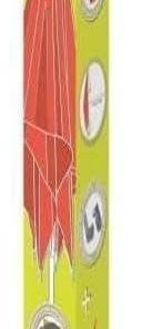 810911, Oyun Evleri Şemsiye Eklentisi Aparatı, Kaliteli Kumaş, Güneş Koruması, Outdoor, Playhouse Accessory - Parasol
