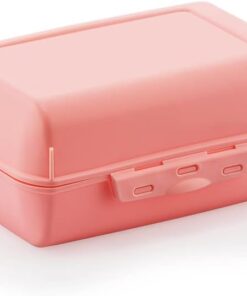 Beslenme Kabı, Lunch Box, Kilitli Beslenme Kutusu (Pudra)