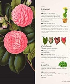 Complete Language of Flowers: A Definitive and Illustrated History: Volume 3