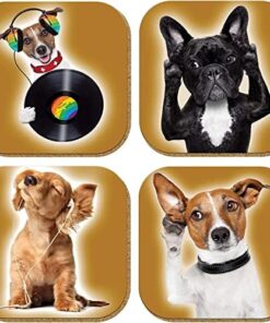 Gift Hediyelik Metal Mantar Tabanlı Jam Session Köpekli 4'lü Bardak Altlığı Seti