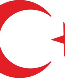 Masters Türk Bayrağı Sticker 20 Cm