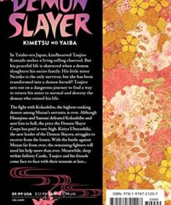 Slayer: Kimetsu no Yaiba, Vol. 21 (Volume 21)