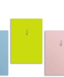 - 3'lü Çizgisiz Defter Seti 4, 14x21 cm, A5 Boyut