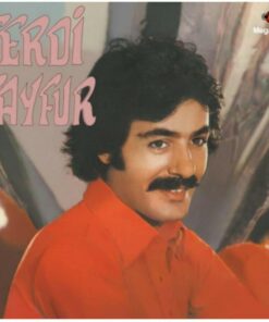 Ferdi Tayfur - Postacılar (plak) 33 Devir