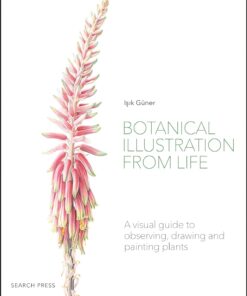 Illustration from Life: A Visual Guide to Observing, Drawing and Painting Plants
