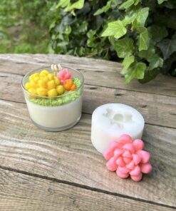 Concept Obtusa Sukulent Mum Kalıbı (Silikon)