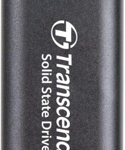 256GB Harici SSD ESD310C USB