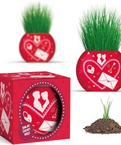 Temalı XL Çim Adam - 6'lı Bitki Yetiştirme Seti – Romantik ve Eğlenceli Bir Hediye