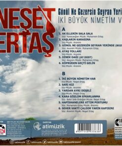 Neşet Ertaş - Gönül Ne Gezersin Seyran Yerinde/ Iki Büyük Nimetim Var - Plak