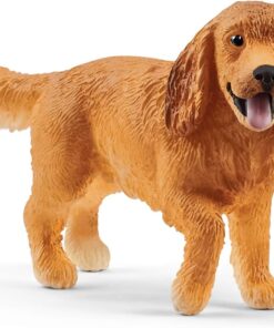 İngiliz Cocker Köpek