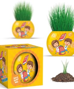 Okul Temalı Çim Adam 6'lı Set – Çocuklar İçin Eğitici ve Eğlenceli Bitki Yetiştirme Kiti