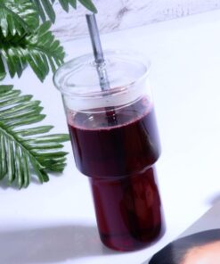 Diyarı Cam Pipetli Kapaklı Özel Tasarım Cam Limonata ve Meşrubat Bardağı ŞEFFAF