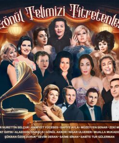 Sanatçılar Gönül Telimizi Titretenler Plak