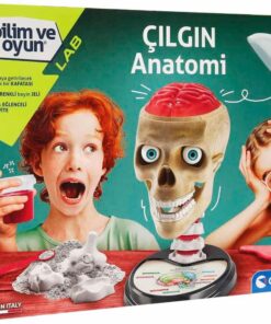 Bilim ve Oyun - Çılgın Anatomi Oyuncak