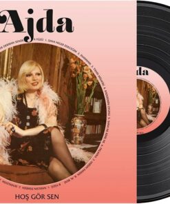 Elektronik Ajda Pekkan-Hoşgörsen LP Plak