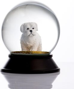 Cam Ve Reçine Altın Patiler Köpek Maltese Terrier Kar Küresi Hediye