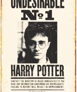 Kuşe Kağıt Duvar Posteri Harry Potter Retro Vintage Drtr0089