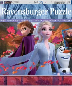 Puzzle, WD Frozen2, 2x24 Parça