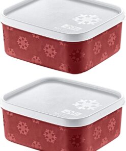 2'Li Set No Frost Saklama Kabı Carmen 700 ML
