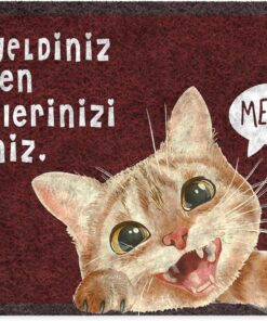 Tasarımlı Dekoratif Kapı önü Paspas, Dış Mekan/Ev İçi/Banyo/Mutfak/Yatak Odası/Giriş Paspasları (Patilerinizi Siliniz, 45X70)