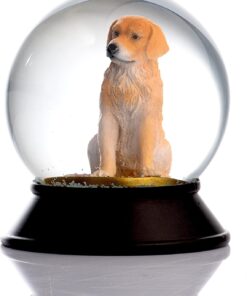 Cam Ve Reçine Altın Patiler Köpek Golden Retriever Kar Küresi Hediye