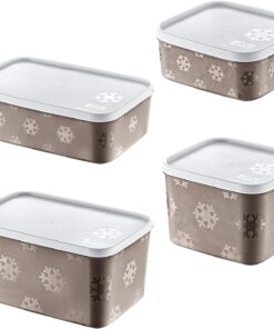 4'Lü Set No Frost Saklama Kabı Terra (tüm boylar)