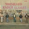 Yonca Cem Karaca & Dervişan - Yoksulluk Kader Olamaz (Plak)