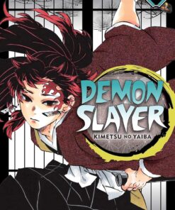 Slayer: Kimetsu no Yaiba, Vol. 20: Volume 20