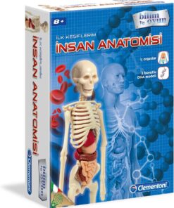 Bilim ve Oyun - İnsan Anatomisi Oyuncak