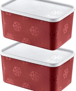2'Li Set No Frost Saklama Kabı Carmen 2600 ML