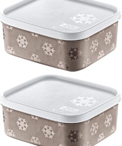 2'Li Set No Frost Saklama Kabı Terra 700 ML
