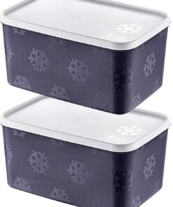2'Li Set No Frost Saklama Kabı Lacivert 2600 ML