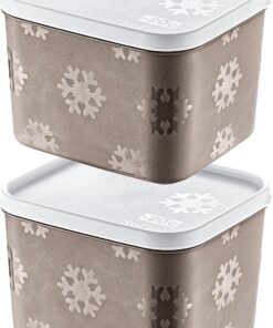 2'Li Set No Frost Saklama Kabı Terra 1250 ML