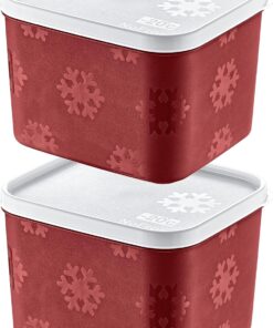 2'Li Set No Frost Saklama Kabı Carmen 1250 ML