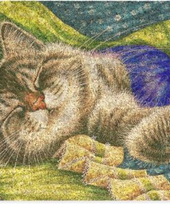 Tasarımlı Dekoratif Kapı önü Paspas, Dış Mekan/Ev İçi/Banyo/Mutfak/Yatak Odası/Giriş Paspasları (Pastel Boyama Cat, 45X70)