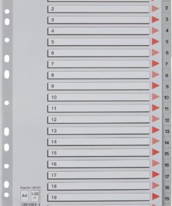 Esselte Seperatör 1-20 Rakamlı Plastik A4 100107